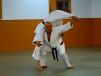 Shomen tsuki jodan - kata guruma