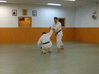 Techniki: katate mochi nikajo osae ni