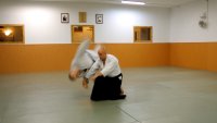 Jiyu waza: kata mochi nikajo nage
