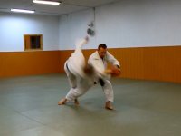 Shomen uchi shiho nage kazushi