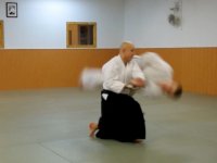 Ushiro jiyu waza: ude garami nage