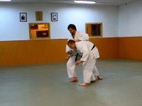Shomen uchi shomen irimi nage ni