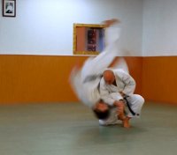 Shomen uchi ude garami nage