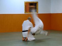 Kubi nage