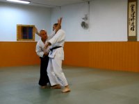 Shomen uchi sokumen irimi nage